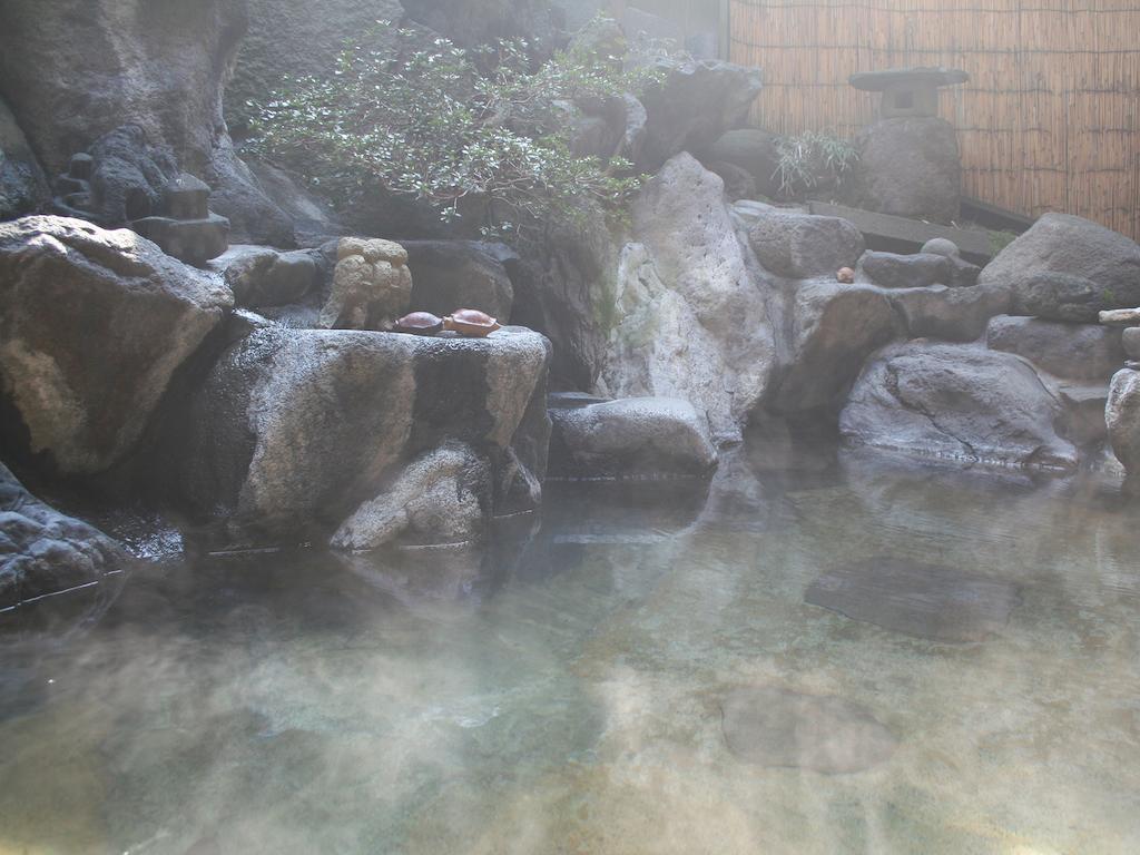 Sumiyosiya Ryokan Nozawaonsen Exterior photo